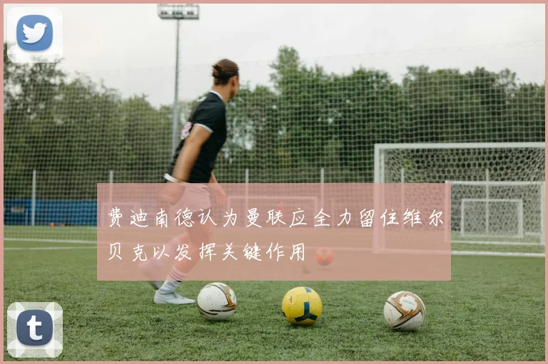 费迪南德认为曼联应全力留住维尔贝克以发挥关键作用