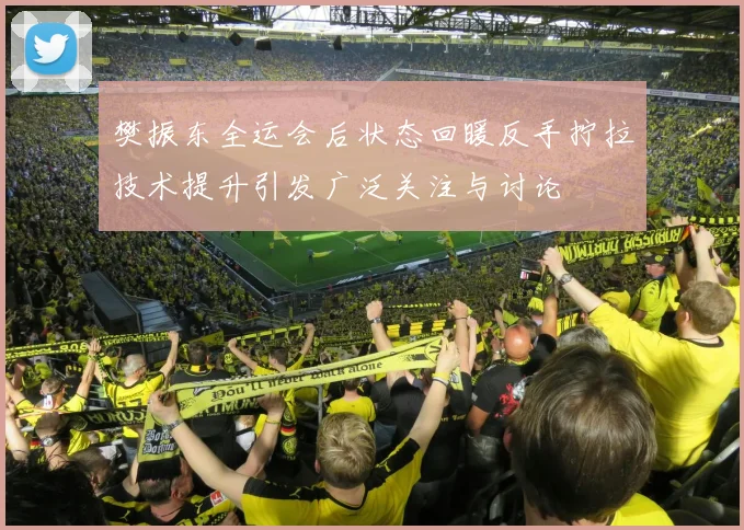 樊振东全运会后状态回暖反手拧拉技术提升引发广泛关注与讨论
